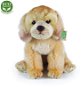Rappa Eco-friendly Labrador, 27cm - Soft Toy