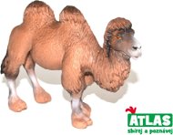 Atlas Camel - Figure