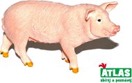 Atlas Pig - Figure