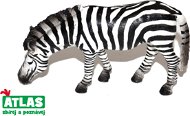 Atlas Zebra - Figúrka