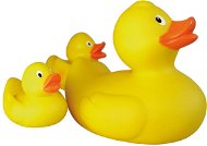 Duck Family - Ducky