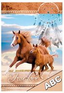 ABC School Folder, MFP, Horses - School Folder