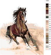 Painting by Numbers - Bay Horse in the Sand 80x100cm on Canvas for Frame - Painting by Numbers