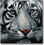 Painting by Numbers - Head of a White Tiger 80x80cm on Canvas for Frame - Painting by Numbers