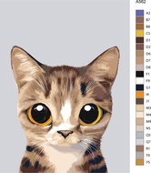Painting by Numbers - Eyed Tabby Cat 60x80cm on Canvas for Frame - Painting by Numbers