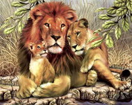 Painting by Numbers - Lion with a Lioness and a Lion Cub 40x50cm on Canvas for a Frame - Painting by Numbers