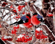 Painting by Numbers - Birds in Rowanberries 40x50cm without Frame and Stretching of the Canvas - Painting by Numbers