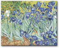 Painting by Numbers - Irises (Van Gogh) 80x100cm without Frame and Stretching - Painting by Numbers