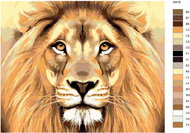 Painting by Numbers - Lion's View 80x100 on Canvas for Frame - Painting by Numbers