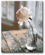 Painting by Numbers - Flower in a Bottle 40x50cm on Canvas Stretched over Frame - Painting by Numbers