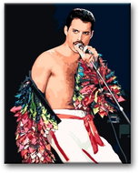 Painting by Numbers - Freddie Mercury 80x100 on Canvas for Frame - Painting by Numbers