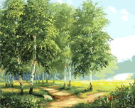Painting by Numbers - Birches by the Road II 40x50cm without Frame and Stretching of the Canvas - Painting by Numbers