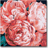 Painting by Numbers - Peonies in the Light 80x80cm on Canvas for Frame - Painting by Numbers