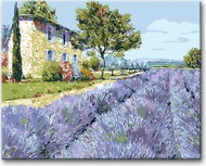 Painting by Numbers - Lavender Field  40x50cm on Canvas Stretched over Frame - Painting by Numbers