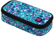 Bagmaster Case Energy 20B - School Case