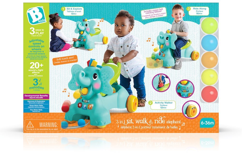 Ollie sit walk and 2025 ride elephant