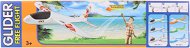 Airplane throwing - Glider