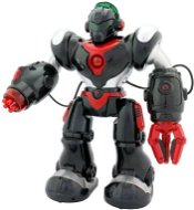Robot Hector battery operated - Robot