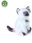 Rappa Eco-friendly Siamese cat 25 cm - Soft Toy