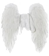 Anjelské krídla z peria 50 × 50 cm - Doplnok ku kostýmu