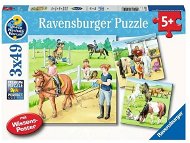 Ravensburger 051298 Kone 3× 49 dielikov - Puzzle