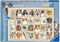 Ravensburger 167586  kutyaportrék 500 darab - Puzzle