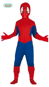 Children's Costume - Spider Boy - size 3-4 years - Costume