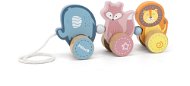 Wooden Push and Pull  - Animals - Push and Pull Toy
