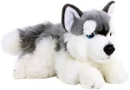 Rappa plyšový pes husky 30 cm Eco-friendly - Plyšová hračka