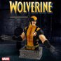 Monogram - Marvel - Büste Wolverine - 20 cm - Figur
