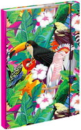 School Folder BAAGL Folders for School Notebooks A4 Toucan - Školní desky