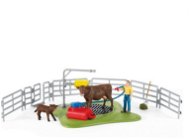 Schleich Washing Shed for Cattle - Figure Accessories