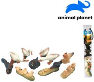 Zvieratká v tube – farma, 5 – 8 cm, mobilná aplikácia na zobrazenie zvieratiek, 10 ks - Figúrky