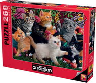 Anatolian Puzzle Kočky při hře 260 dílků - Puzzle