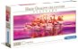 Clementoni Panorama Puzzle Dance of the Flamingos 1000 pieces - Jigsaw