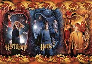 Clementoni Puzzle Harry Potter: Harry, Ron a Hermiona 104 dielikov - Puzzle