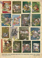 Cobble Hill Puzzle Nature Books 1000 pieces - Jigsaw Puzzle