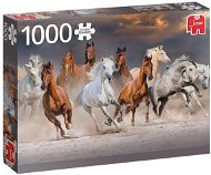 Jumbo Puzzle Pouštní koně 1000 dílků - Puzzle