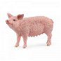Schleich 13933 Pet Pig - Figure