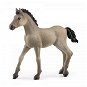 Schleich 13949 Horse Club - Criollo Definitivo Fohlen - Figur
