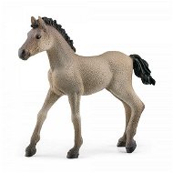 Schleich 13949 Animal - Criollo Definitivo Foal - Figure