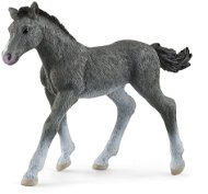 Schleich 13944 Animal - Trakehner Foal - Figure