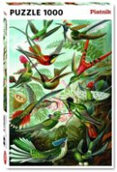 Haeckel – Kolibris - Puzzle