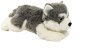 Teddies Dog lying Husky plush - Soft Toy