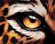 Malování podle čísel - Leopardí oko - Painting by Numbers