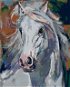Malování podle čísel - Bílý kůň s rozevlátou hřívou - Painting by Numbers
