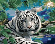 Malování podle čísel - Bílý tygr a divoká příroda (Howard Robinson) - Painting by Numbers