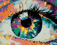 Painting by Numbers - Colored Human Eye, 40x50 cm, stretched canvas on frame - Painting by Numbers