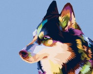 Painting by Numbers - Colored Husky, 80x100 cm, without frame and without canvas switching off - Painting by Numbers