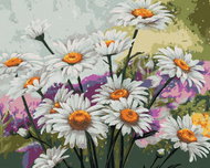 Painting by Numbers - Chamomile in a Meadow, 80x100 cm, stretched canvas on frame - Painting by Numbers